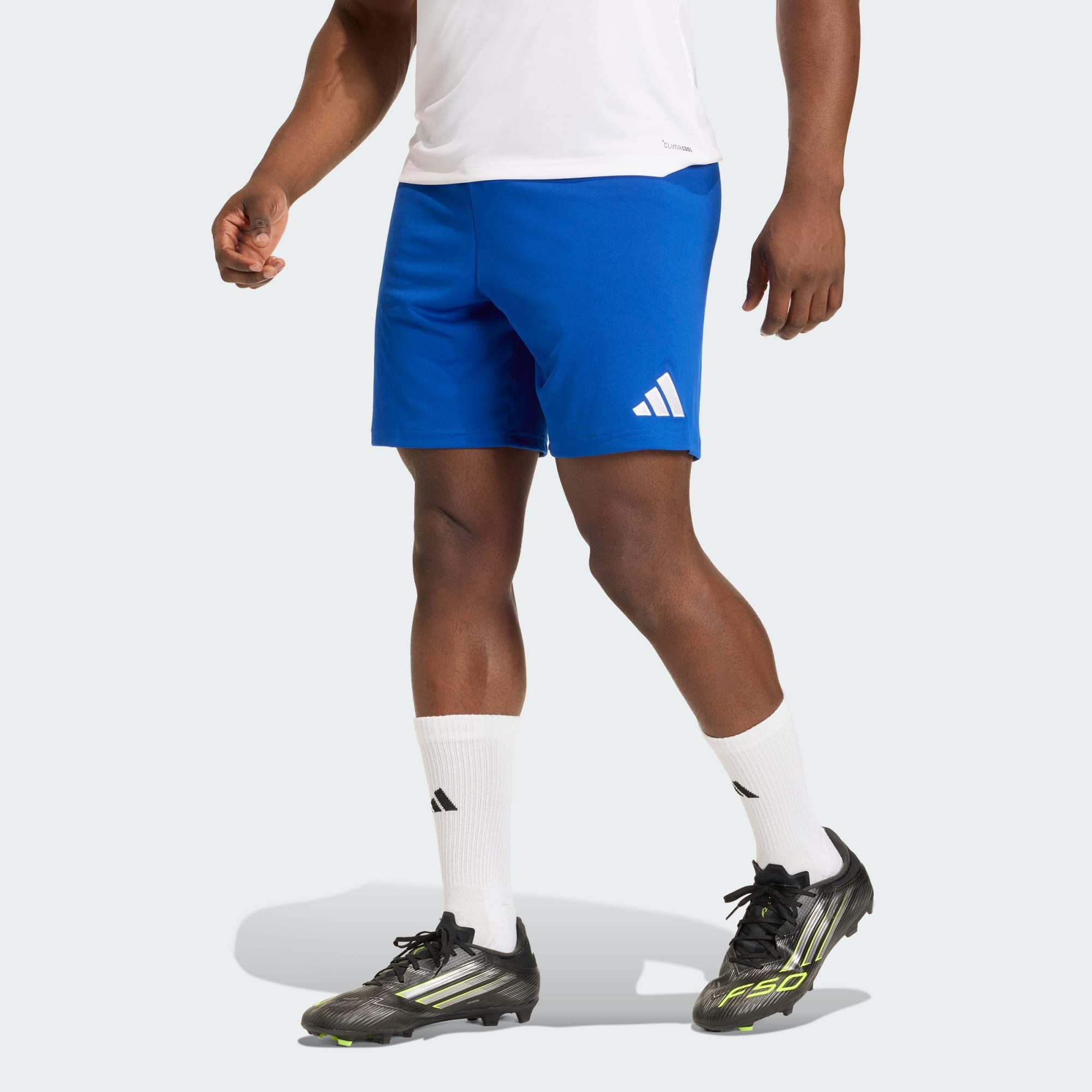 adidas Performance Shorts ENTRADA26 SHORTS (1-tlg)