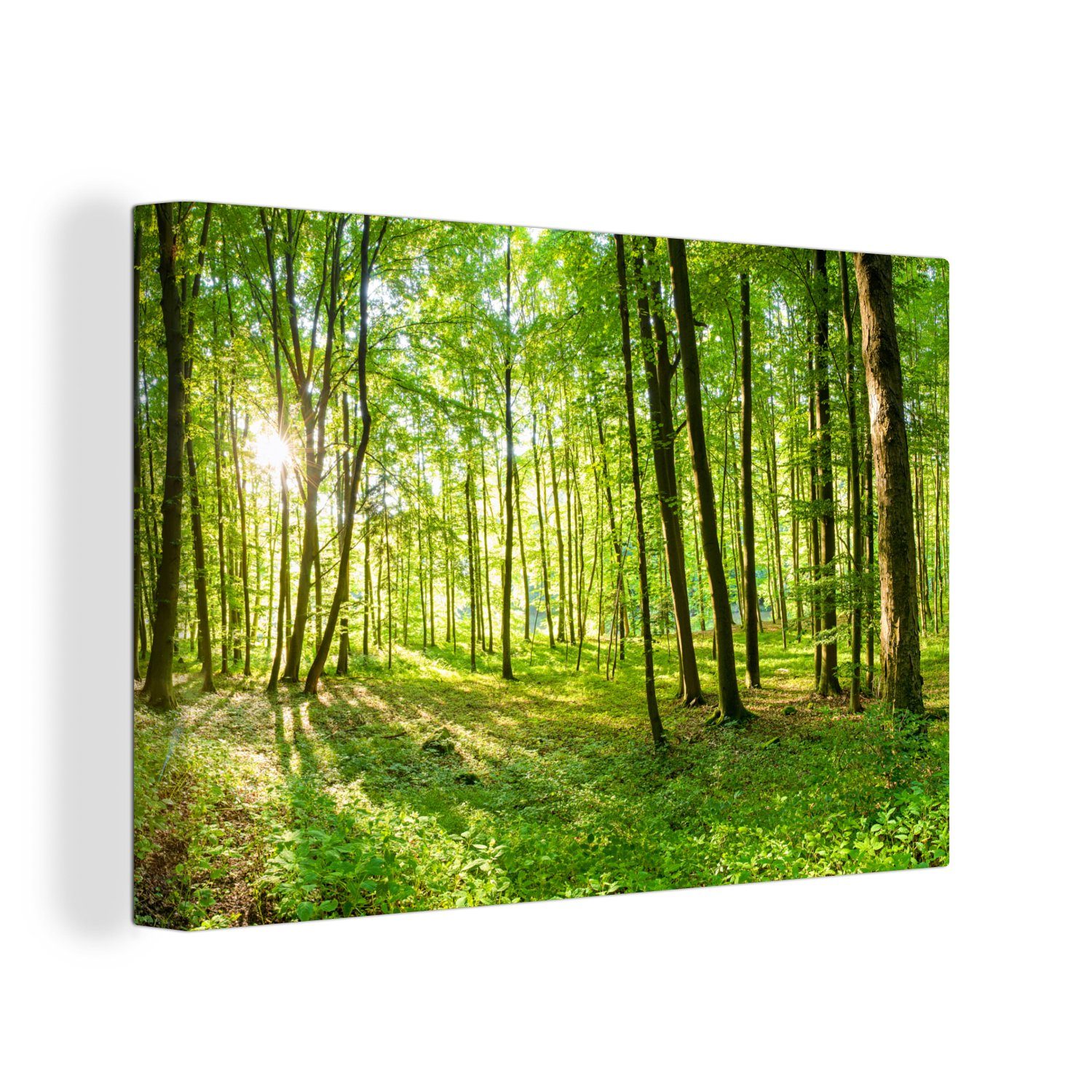 Wald Bild Leinwand: The Ultimate Guide to Unlocking Your Artistic Potential