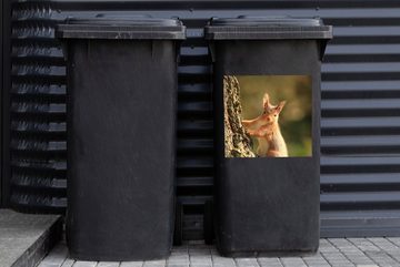 MuchoWow Wandsticker Eichhörnchen - Baum - Nagetiere (1 St), Mülleimer-aufkleber, Mülltonne, Sticker, Container, Abfalbehälter