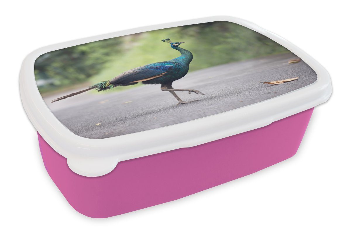 MuchoWow Lunchbox Pfau - Tiere - Federn, Kunststoff, (2-tlg), Brotbox für Erwachsene, Brotdose Kinder, Snackbox, Mädchen, Kunststoff rosa