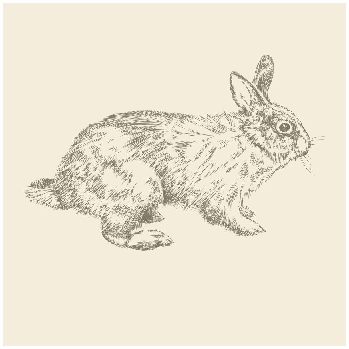 Wallario Tischplatte Hase als illustrierte Bleistiftzeichnung (1 St), für Ikea Lack Tisch geeignet