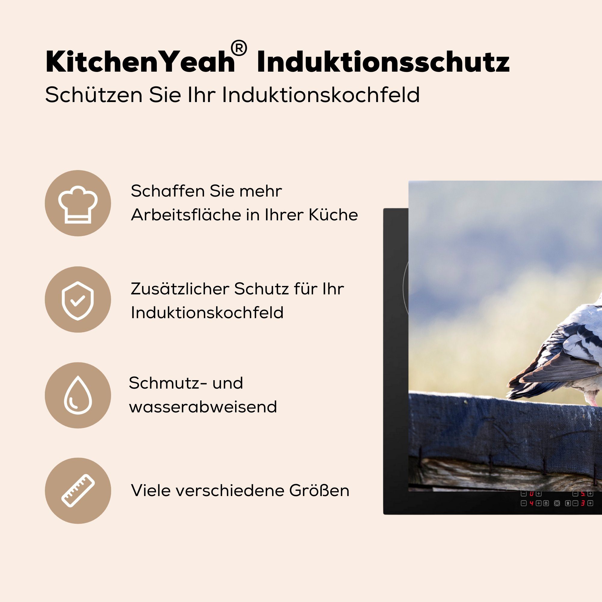 MuchoWow Herdblende-/Abdeckplatte Taube - Wand - Induktionskochfeld Holz, küche, tlg), Vinyl, die 71x52 für Ceranfeldabdeckung (1 cm, Schutz