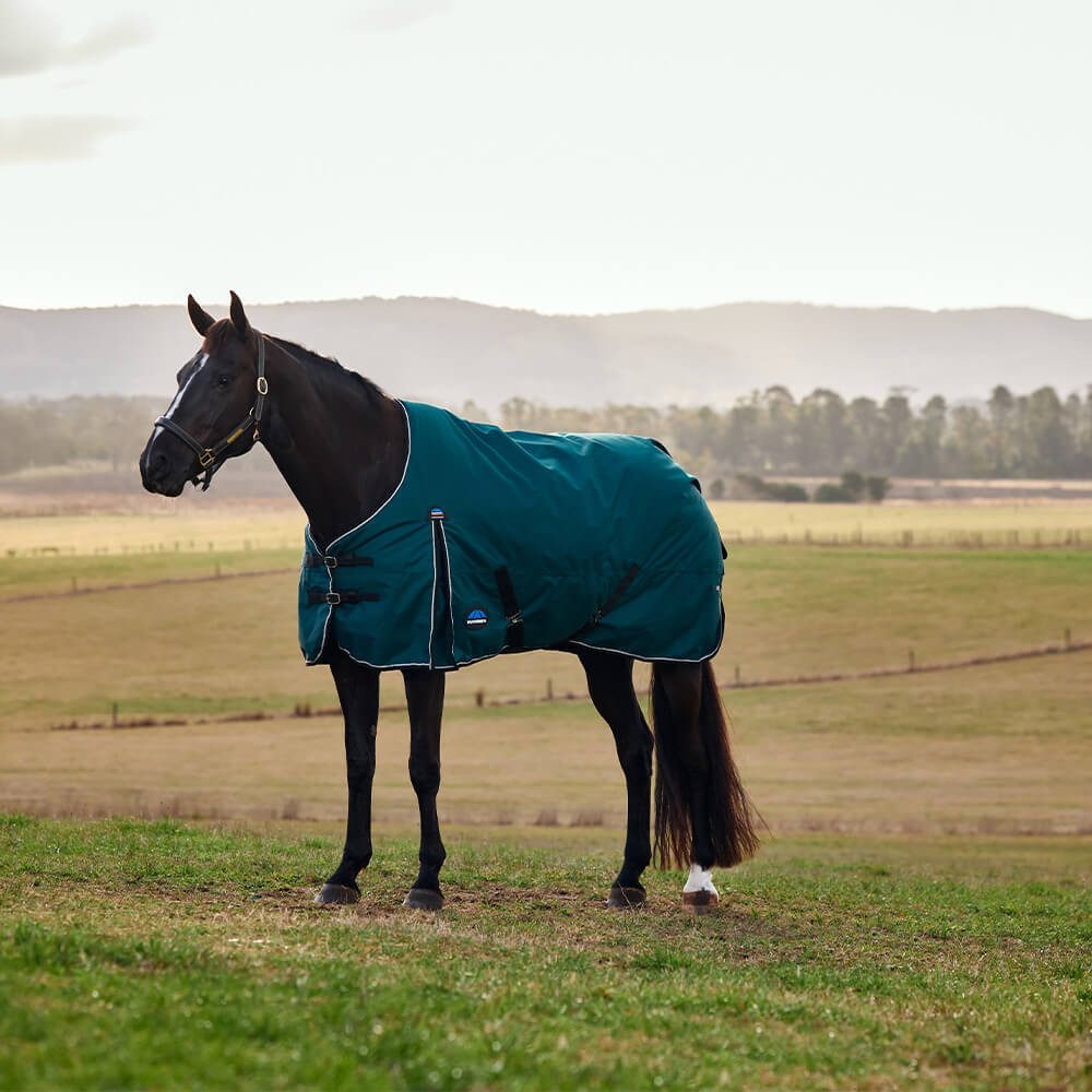 WeatherBeeta Pferde-Regendecke Weatherbeeta Comfitec Classic Turnout 50g