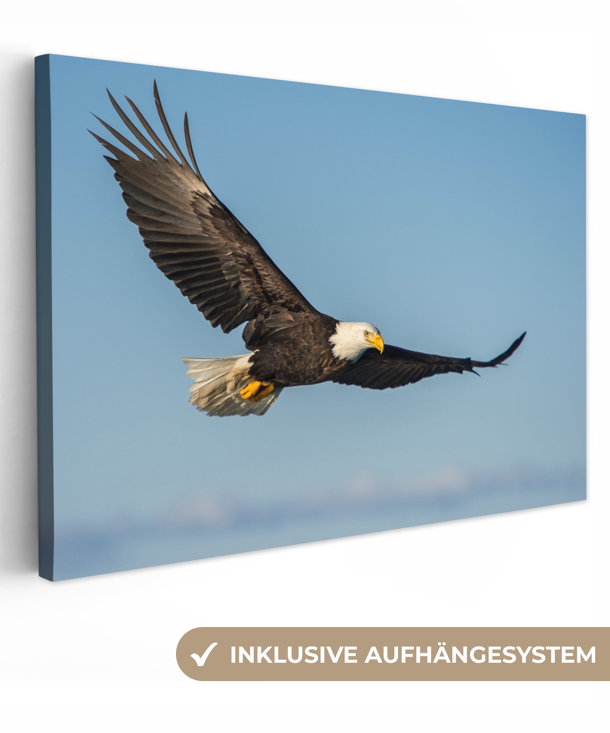 OneMillionCanvasses® Leinwandbild Vogel - Adler - Raubvögel, Fotodruck (1 St), Leinwand Bilder Klein, Wand Dekoration Aesthetic 30x20 cm