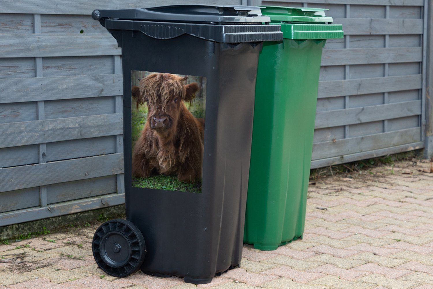 Mülleimer-aufkleber, Tiere Container, Sticker, Abfalbehälter - (1 Schottischer Highlander Kröte Mülltonne, MuchoWow - Wandsticker St),