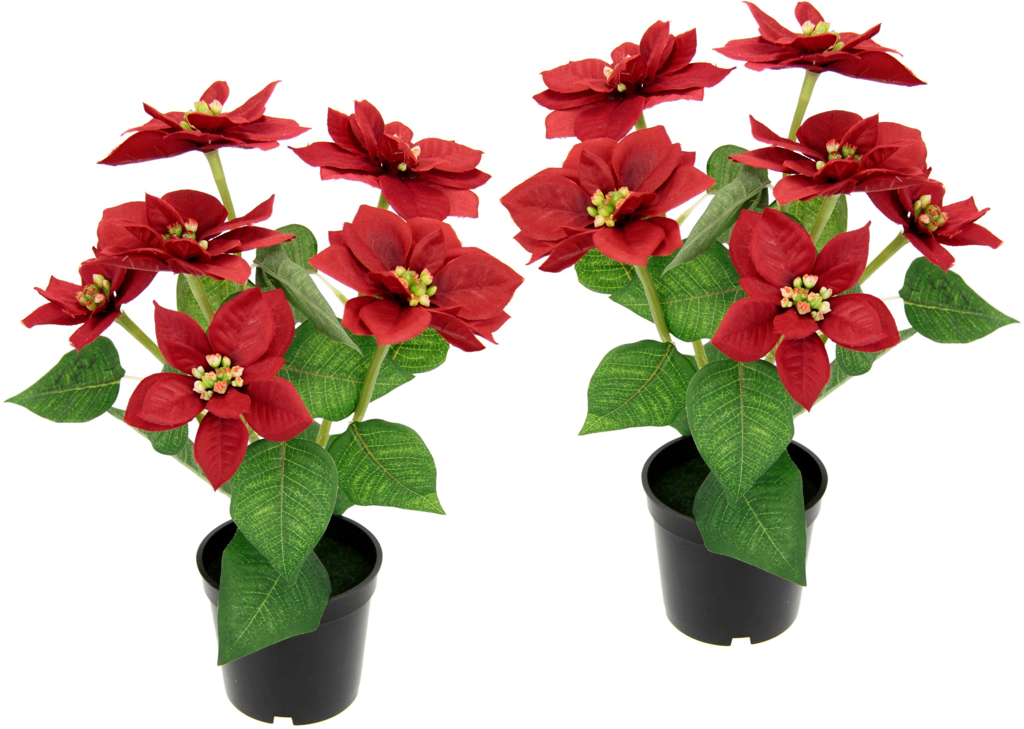 Kunstpflanze Poinsettie Poinsettie, I.GE.A., Höhe 29 cm, im Topf, 2er Set