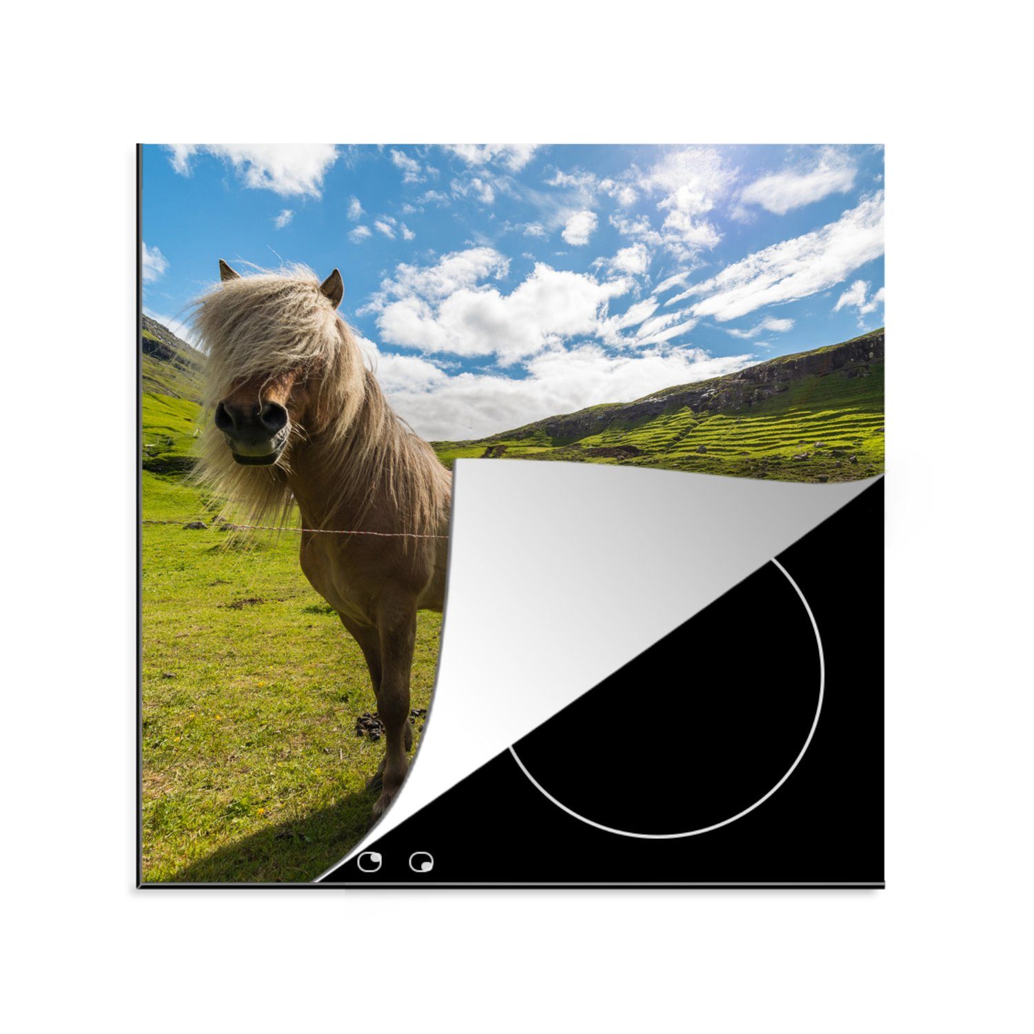 MuchoWow Herdblende-/Abdeckplatte Dänemark - Pferd - Tiere, Vinyl, (1 tlg), 78x78 cm, Ceranfeldabdeckung, Arbeitsplatte für küche