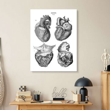 Posterlounge Acrylglasbild Thomas Milton, Anatomie des menschlichen Herzens, Illustration