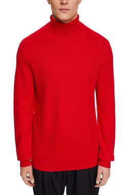 Esprit Rollkragenpullover