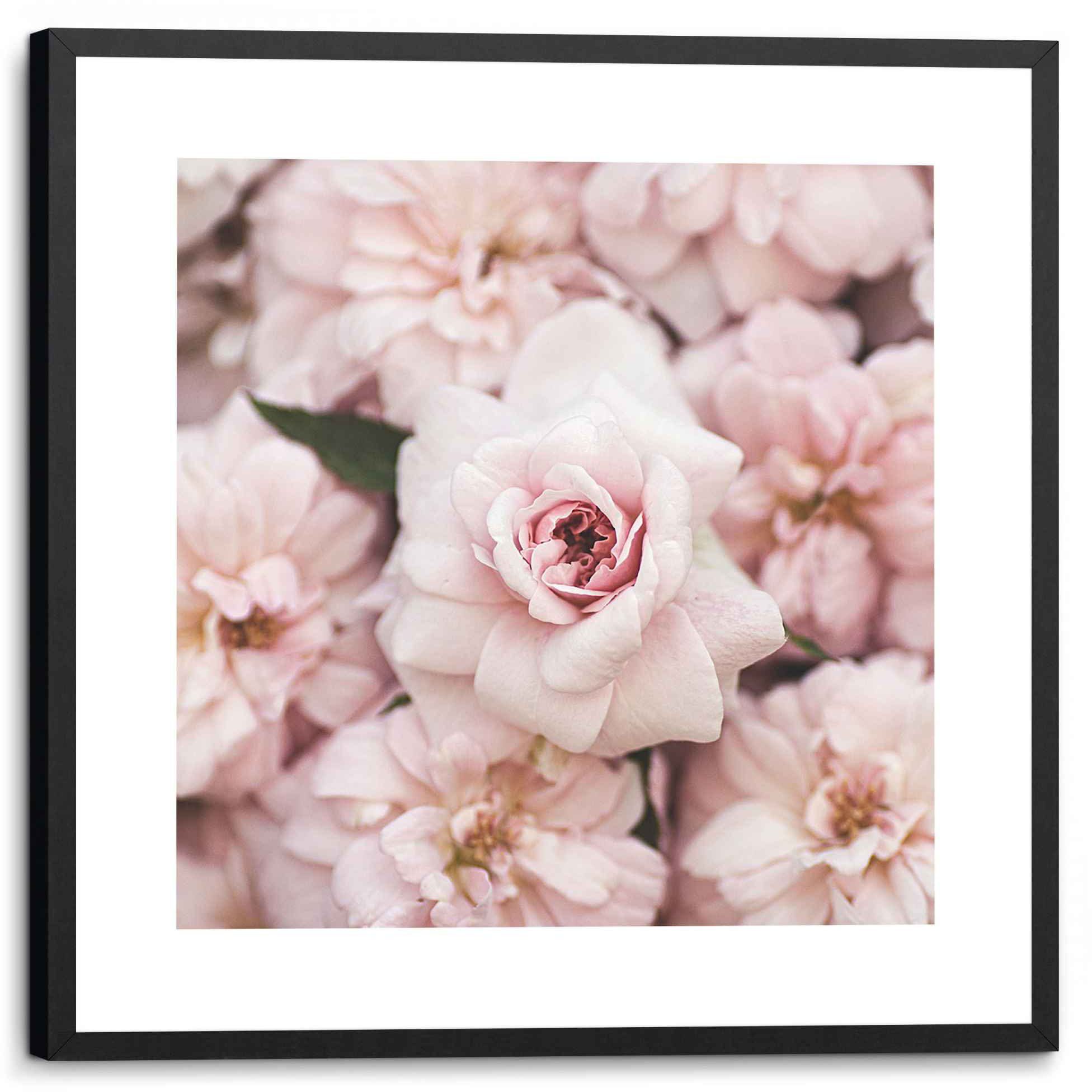 Reinders! Bild Gerahmtes Bild Pfingstrosen Romantisch, Blumen Art Ausstrahlung - (1 einer Print Blumen mit St), künstlerischen