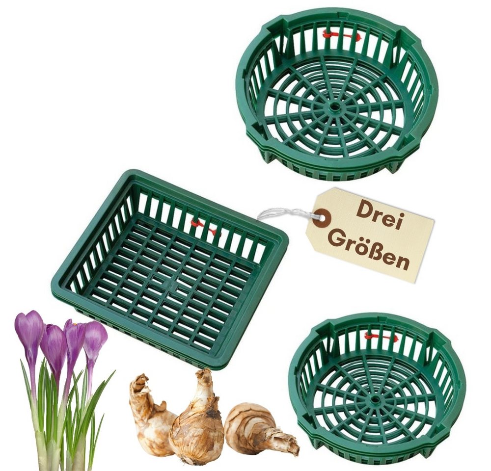 Thumbnail - GarPet Pflanzschale Pflanzkörbe für Blumenzwiebeln Pflanzkorb Blumenzwiebeln ø 30 cm 3 St.