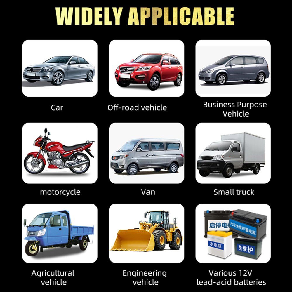 autolock Professional Battery Charger, 12V/8A 24V/4A Intelligent Car Battery Charger (Automatic Battery Charger, Maintenance Device with LCD Display)