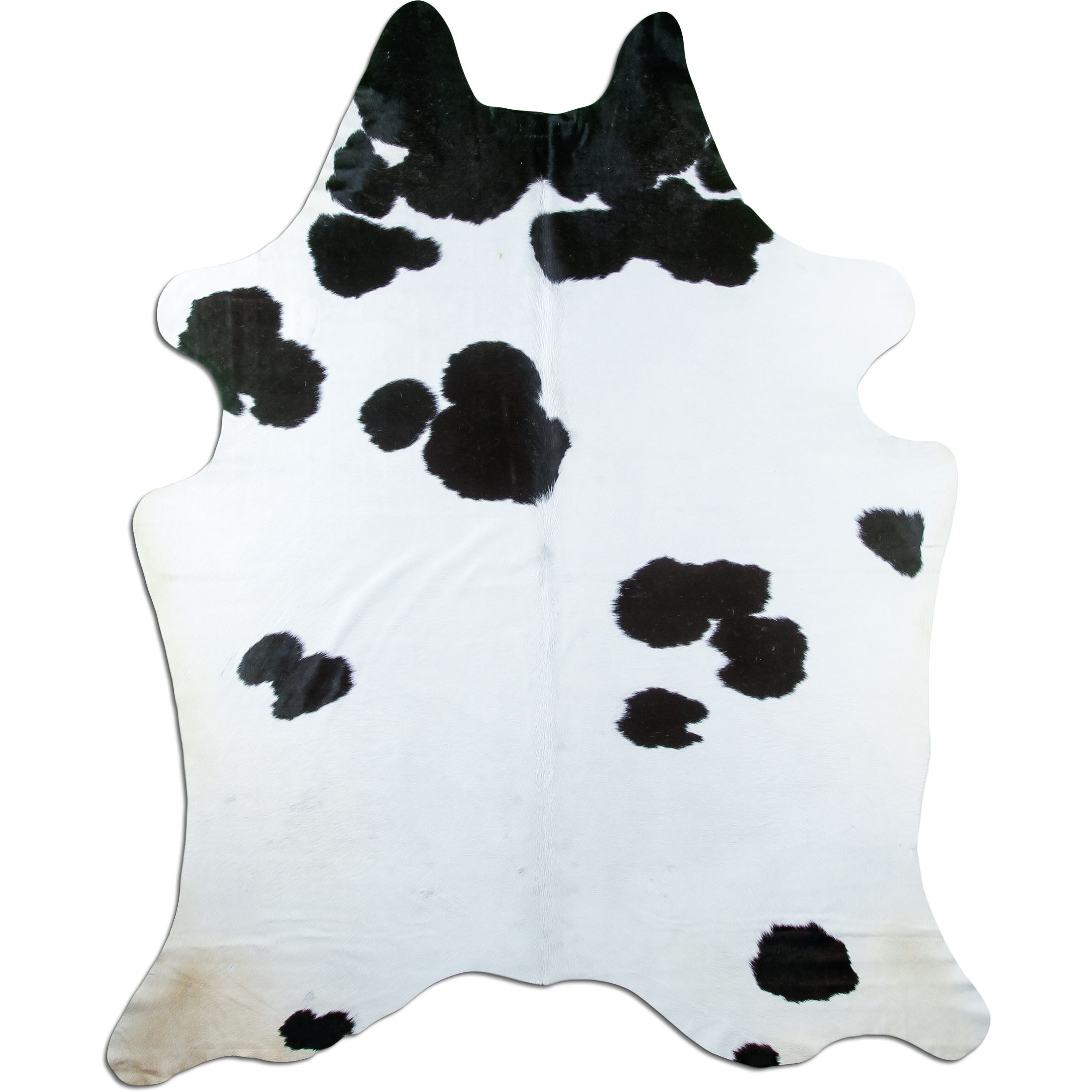 Livorio Fellteppich L237 x B181 cm - schwarz weiß, Kuhfell, Premium Kuhfell Teppich, Rinderfell, Echtfell, black and white