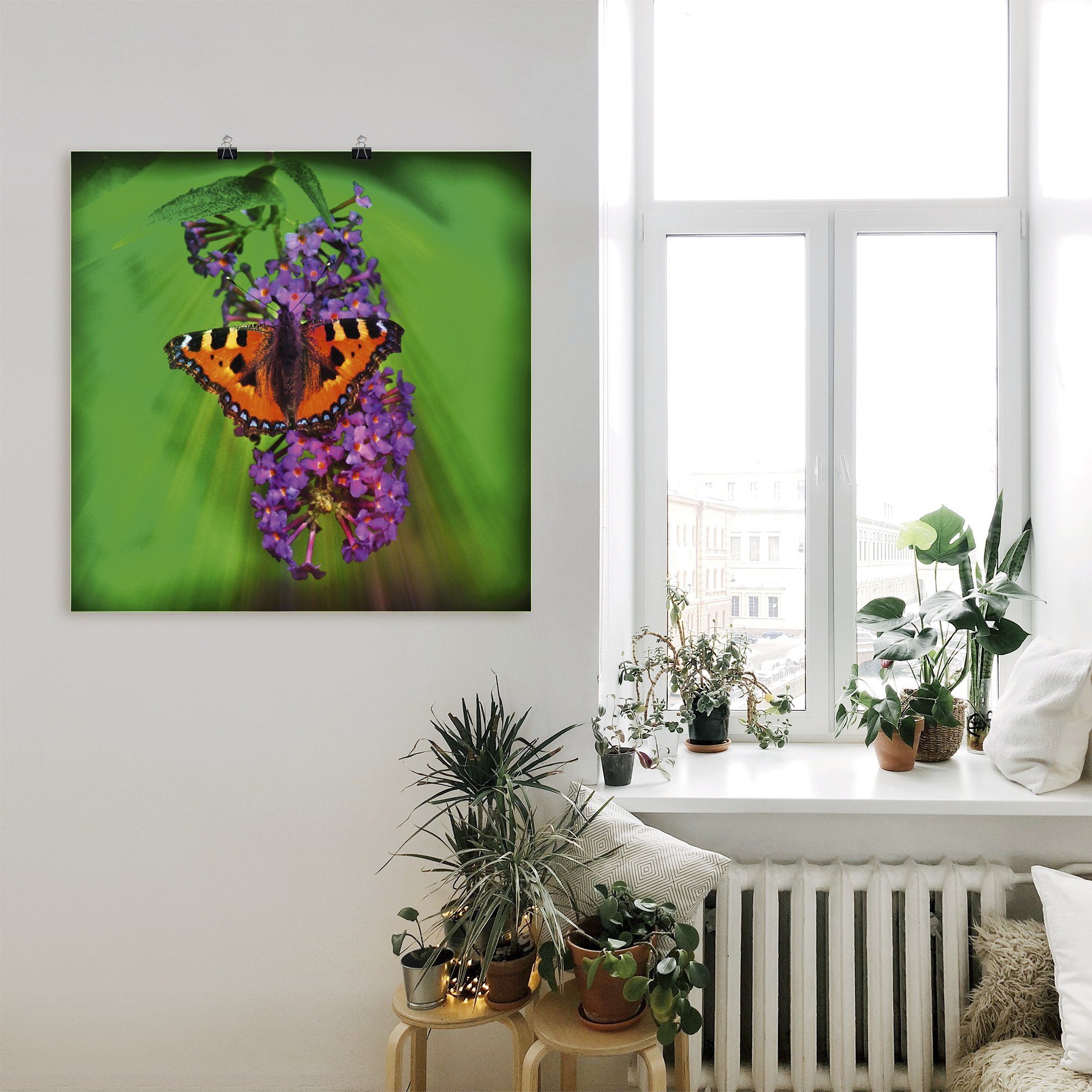 Artland Wandbild »Kleiner Fuchs im Sonnenstrahl«, Insekten (1 Stück), in vielen Größen & Produktarten - Alubild / Outdoorbild für den Außenbereich, Leinwandbild, Poster, Wandaufkleber / Wandtattoo auch für Badezimmer geeignet-HomeTrends