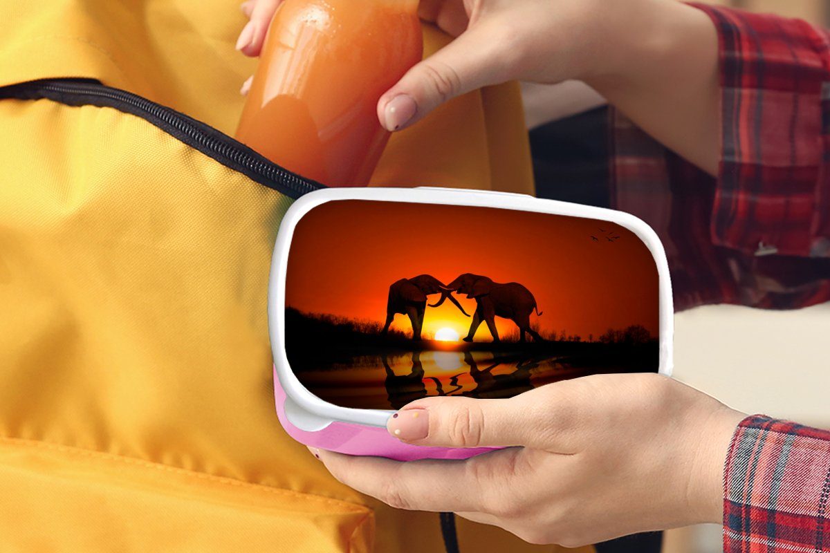 Elefantenpaar rosa (2-tlg), Erwachsene, bei Kinder, Sonnenuntergang, Kunststoff Lunchbox für Kunststoff, Brotdose Snackbox, Brotbox MuchoWow Mädchen,