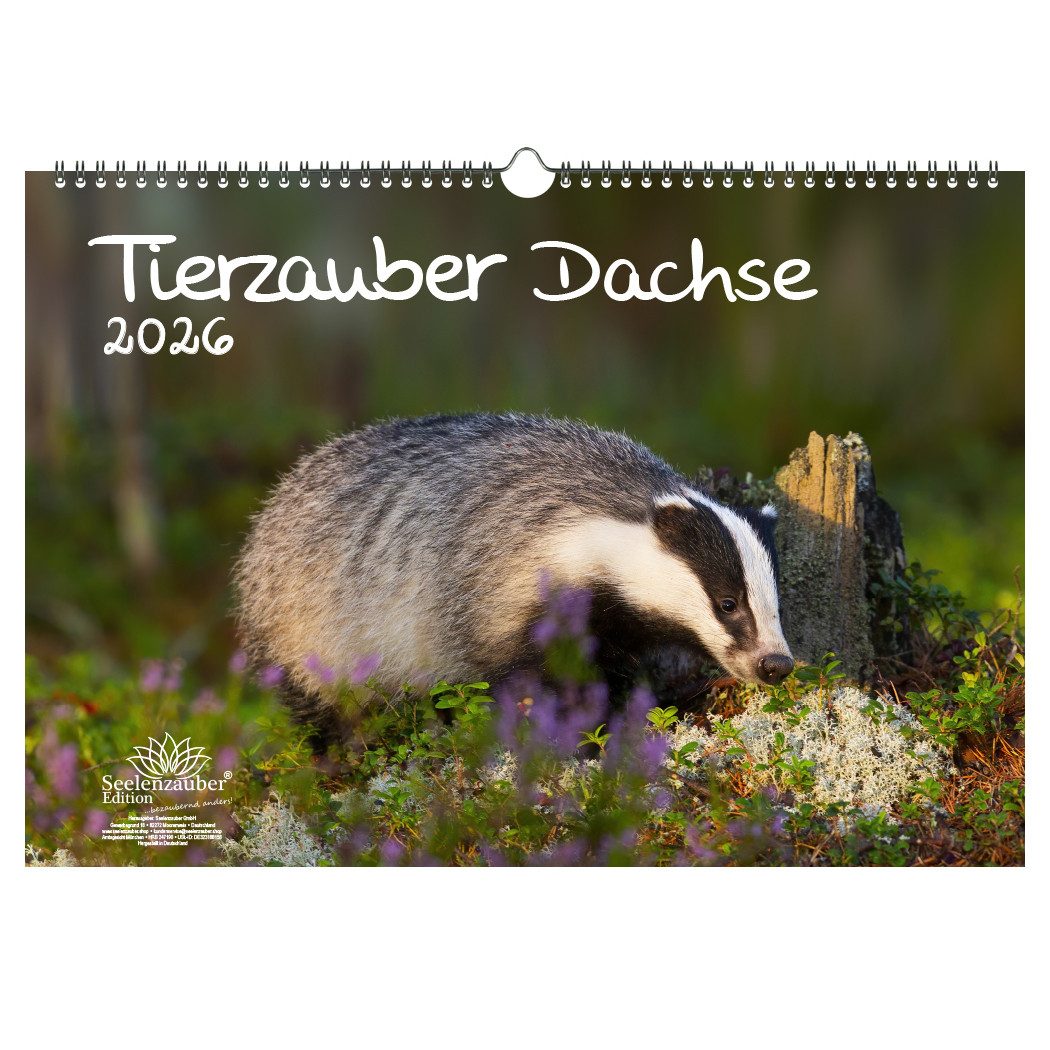Seelenzauber Wandkalender Tierzauber Dachse DIN A3 Kalender für 2026 Wald Natur Baum