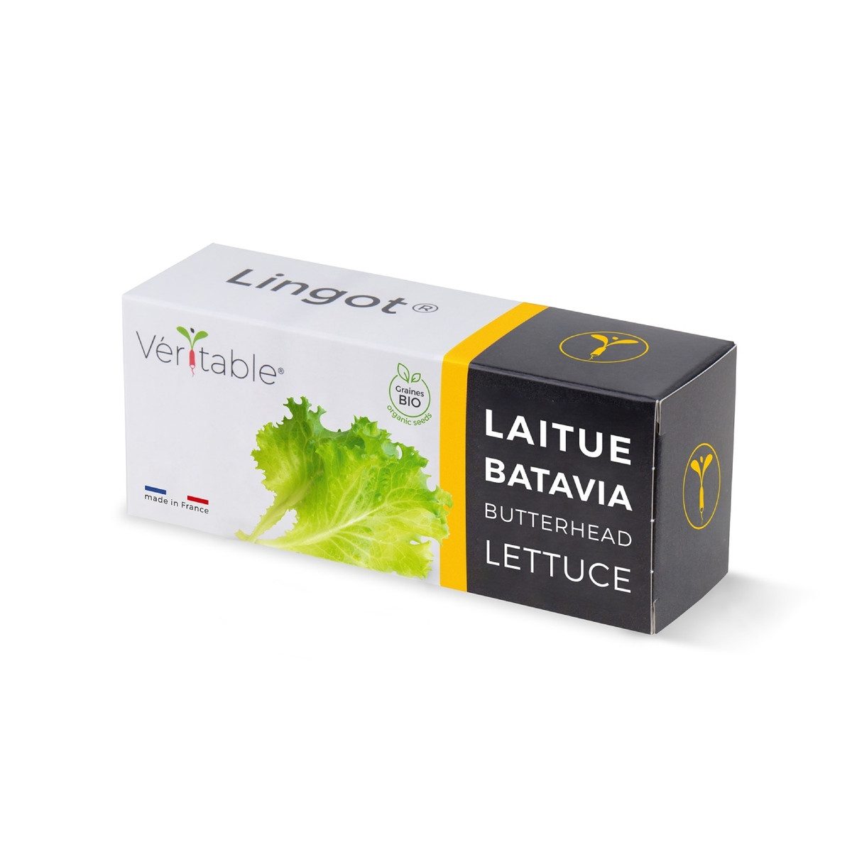 Anzuchttopf Lingot Organic Butterhead Lettuce