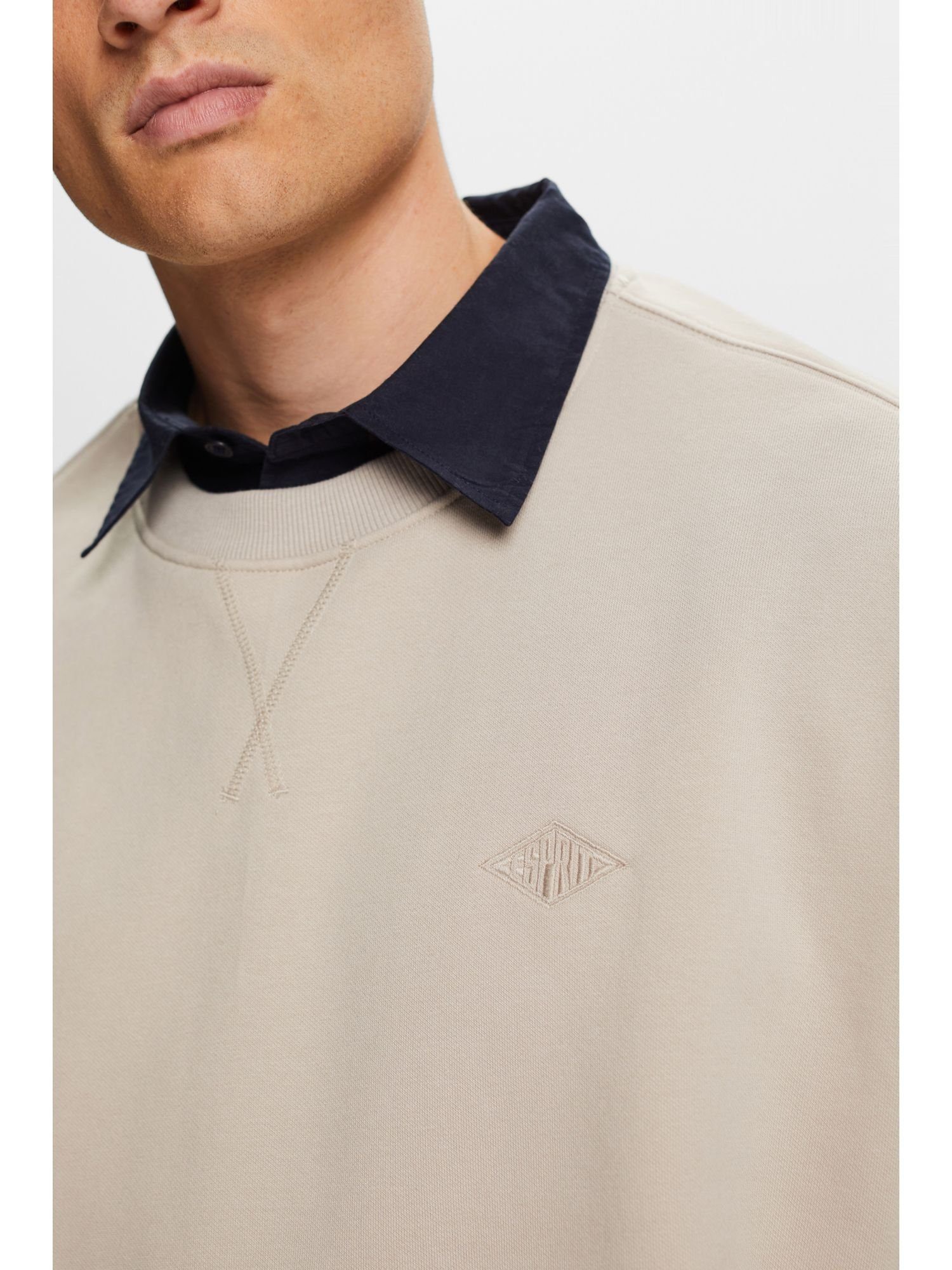 GREY PASTEL Sweatshirt mit Logostickerei Esprit Sweatshirt (1-tlg)