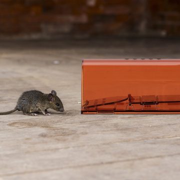 relaxdays Lebendfalle 2er Set Lebendfalle für Mäuse