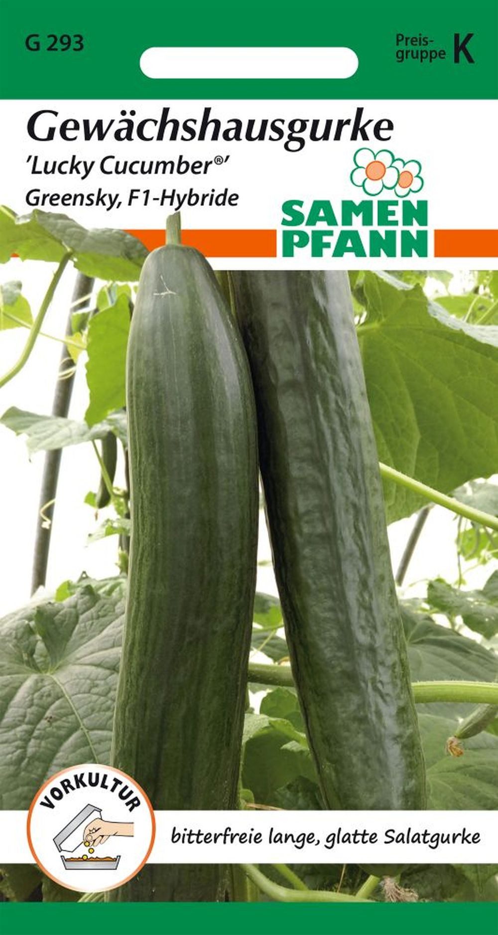 SAMEN PFANN Gemüsesamen Gewächshausgurke, Lucky Cucumber (Greensky F1) - Saatgut Samen, Cucumis sativus
