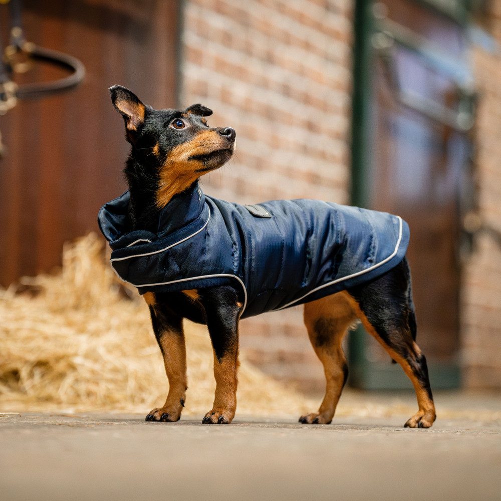 Horseware Hundemantel Horseware Signature Hundemantel 200g