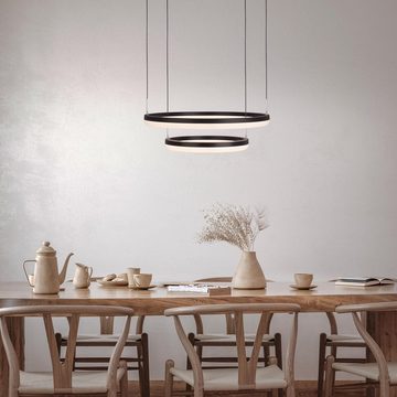 näve LED Pendelleuchte CIRCULO, Dimmfunktion, Memoryfunktion, Nachtlichtfunktion, LED fest integriert, Kaltweiß, Neutralweiß, Warmweiß, CCT-Farbwechsler; Hintergrundbeleuchtung; Memoryfunktion; Nachtlicht