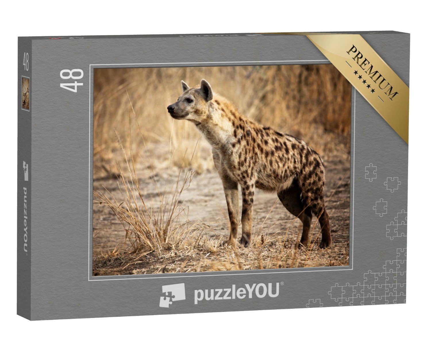 Wüste puzzleYOU Sambia, Luangwa-Nationalpark Puzzleteile, Hyäne in im Savanne in Puzzle & 48 Hyänen, puzzleYOU-Kollektionen Tiere