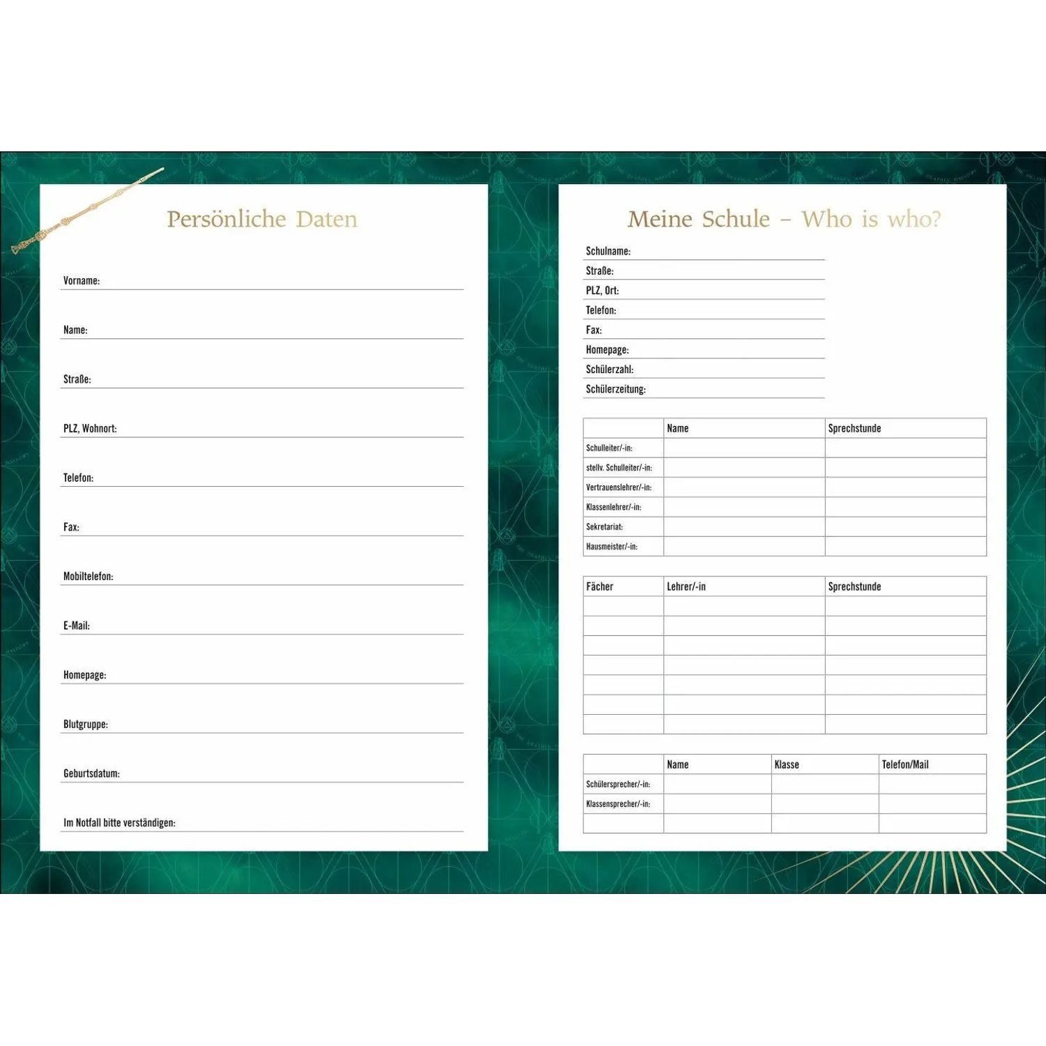 HEYE Schülerkalender Harry Potter 17-Monats-Kalenderbuch A5 2027 - 17 Monate. Von August... – Bild 4 von 5