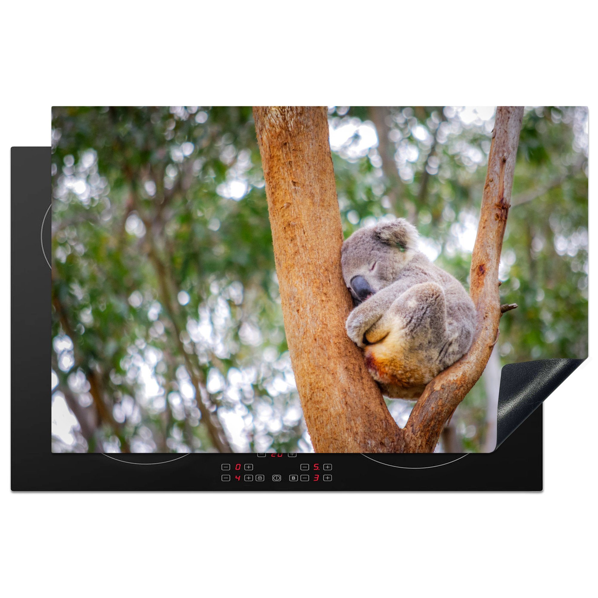 MuchoWow Herdblende-/Abdeckplatte Schlafender Koala in einem Baum in Australien, Vinyl, (1 tlg), 81x52 cm, Induktionskochfeld Schutz für die küche, Ceranfeldabdeckung