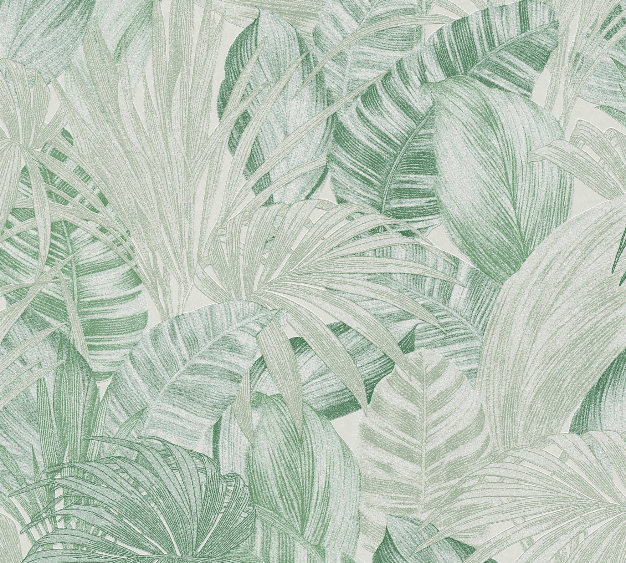 Vliestapete strukturiert Grün Weiß (1 leicht Création Palmentapete 2 St), Dschungeltapete, A.S. Dschungeltapete Attractive matt, glatt,
