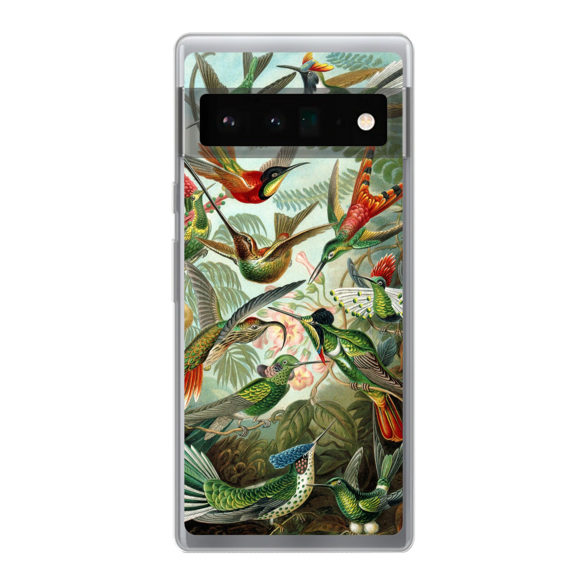 MuchoWow Handyhülle für Google Pixel 6 Pro Trochilidae - Alte Meister - Kunst, Handy Case, Silikon, Bumper Case Dünn