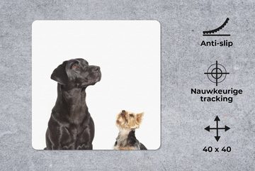 MuchoWow Gaming Mauspad Aufstrebende Hunde (1-St), Mousepad mit Rutschfester Unterseite, Gaming, 40x40 cm, XXL, Großes