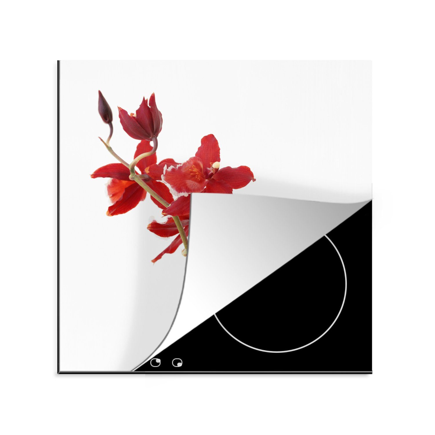 MuchoWow Herdblende-/Abdeckplatte Arbeitsplatte tlg), Hintergrund, cm, (1 für Rote vor küche Ceranfeldabdeckung, 78x78 Vinyl, Orchideen einem weißen