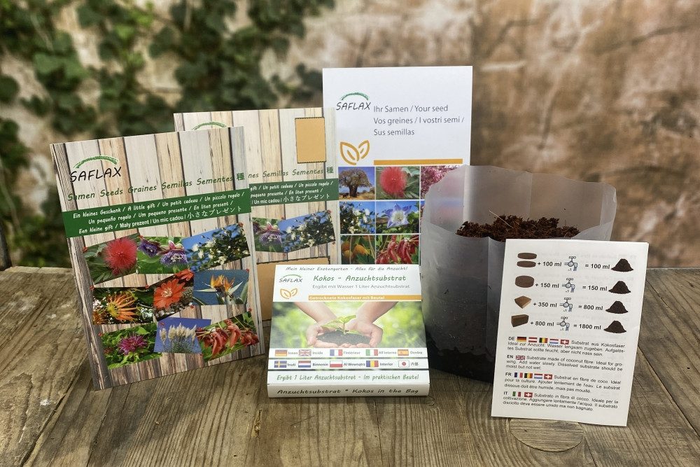 SAFLAX Blumensamen SAFLAX - Geschenkset - günstig online kaufen