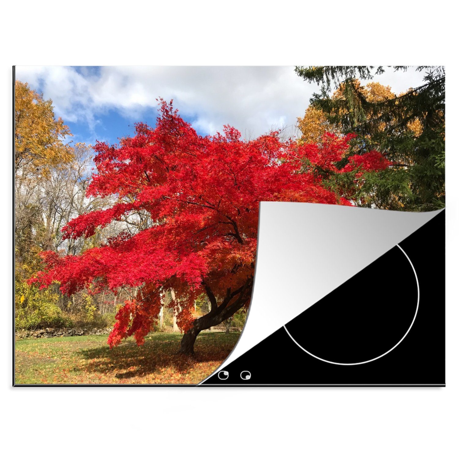 MuchoWow Herdblende-/Abdeckplatte Japanischer Park, roten 70x52 Blättern Arbeitsfläche Mobile Ahorn (1 Vinyl, mit nutzbar, Ceranfeldabdeckung tlg), im cm