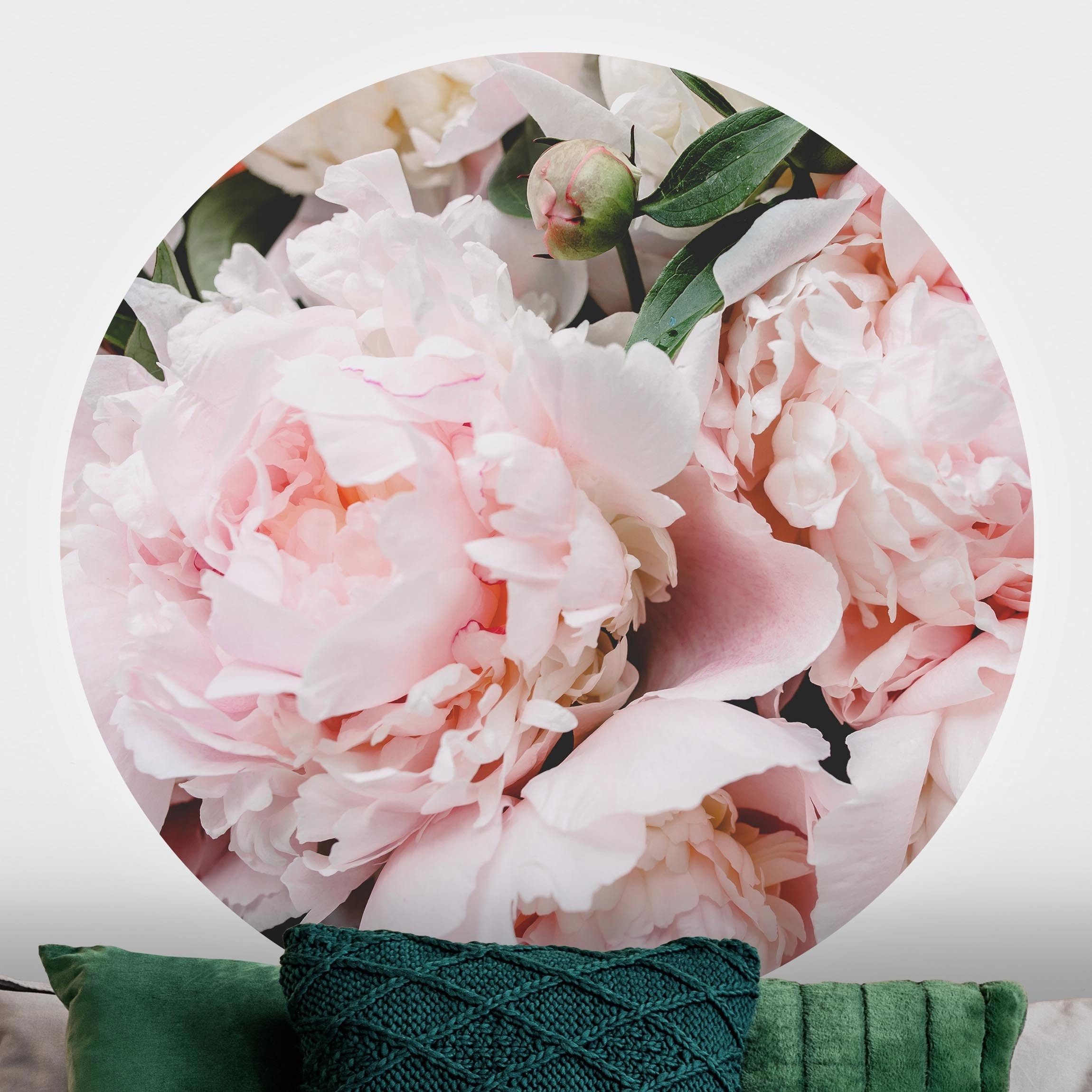 Bilderdepot24 Fototapete rund Rosen Pfingstrosen Hellrosa Blumen Natur Pflanzen, Glatt, Matt, (Vliestapete selbstklebend), Wohnzimmer Schlafzimmer Küche Wandtattoo Motivtapete Klebe Wandtapete