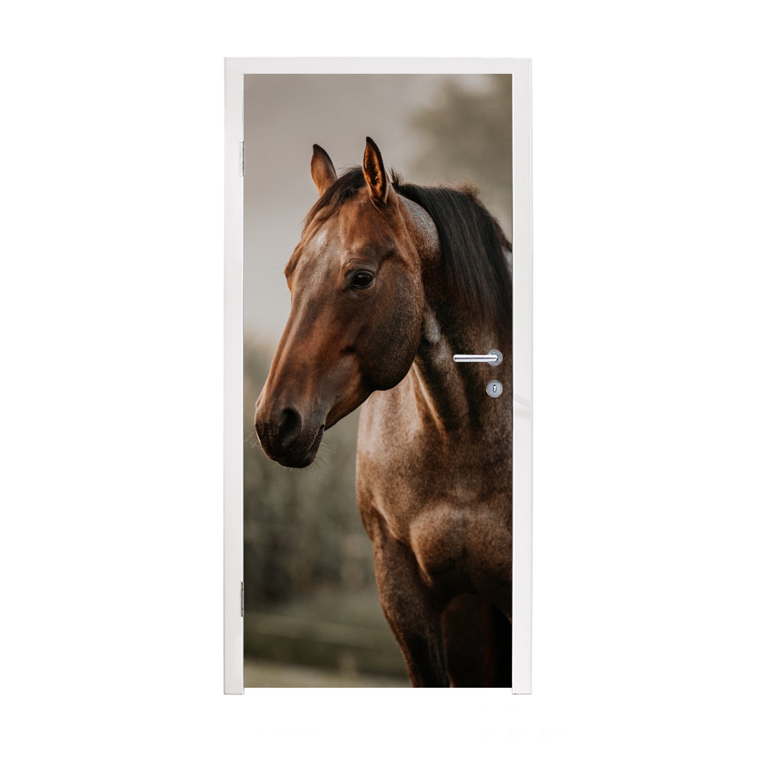 MuchoWow Türtapete Pferd - Licht - Wald, Matt, bedruckt, (1 St), Fototapete für Tür, Türaufkleber, 75x205 cm