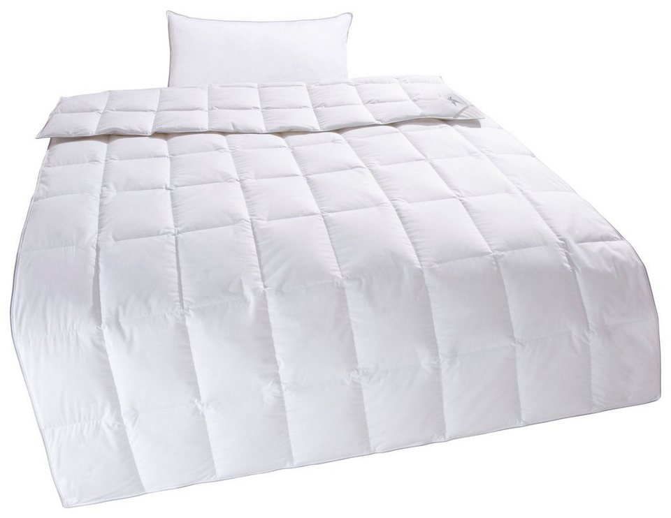 Daunenbettdecke + Kopfkissen, Lodiken, von Sommer bis Winter die optimale  Bettdecke mit Kissen, Älgdröm, Bezug: 100% Baumwolle, Set aus 1 Kissen und 1  Bettdecke