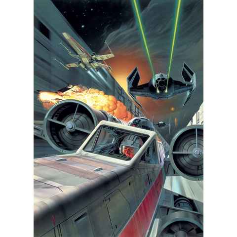 Komar Vliestapete Star Wars Classic Leia, 200x250 cm (Breite x Höhe)