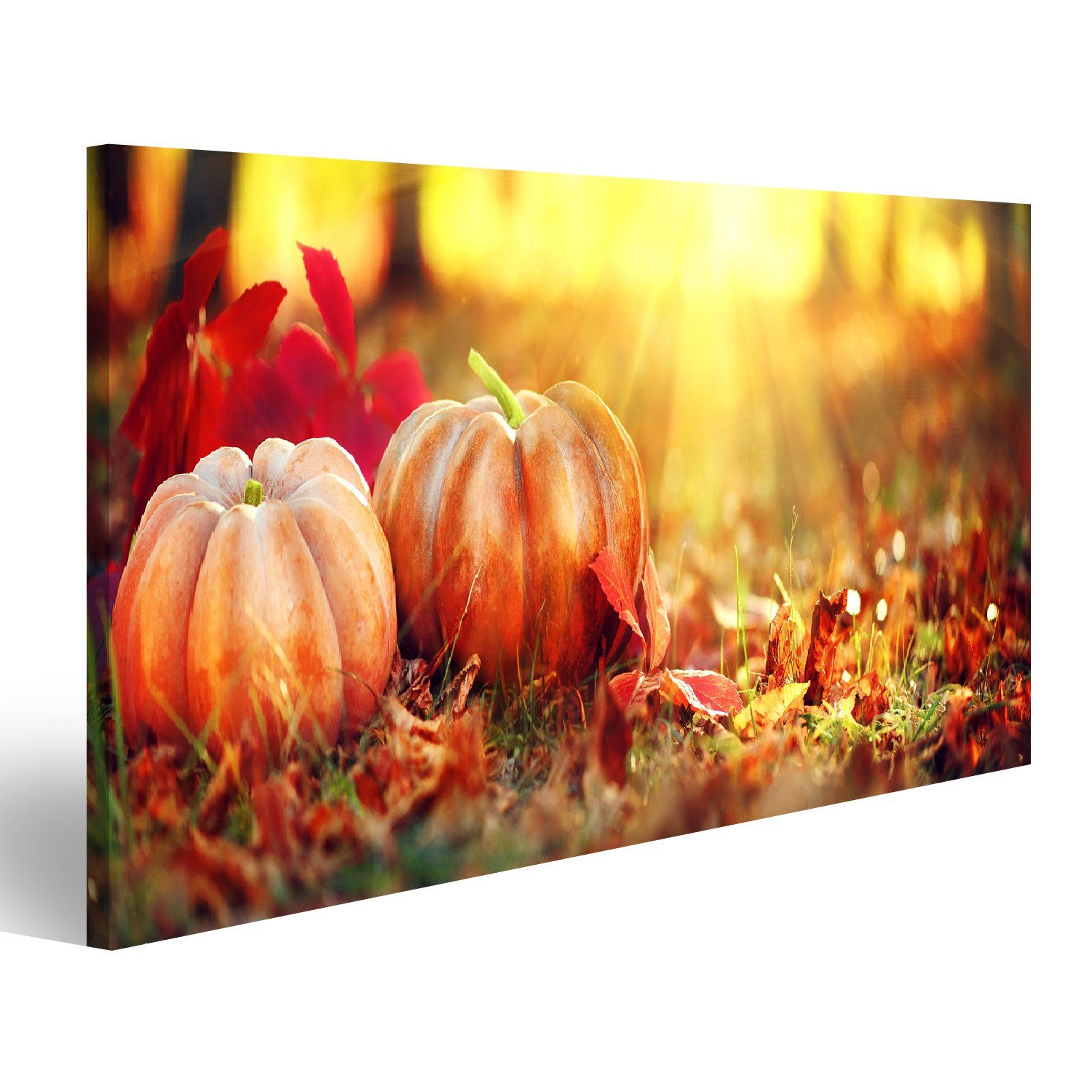 islandburner Leinwandbild Bild auf Leinwand Herbst-Halloween-Kürbisse Orange Kürbisse über Natur