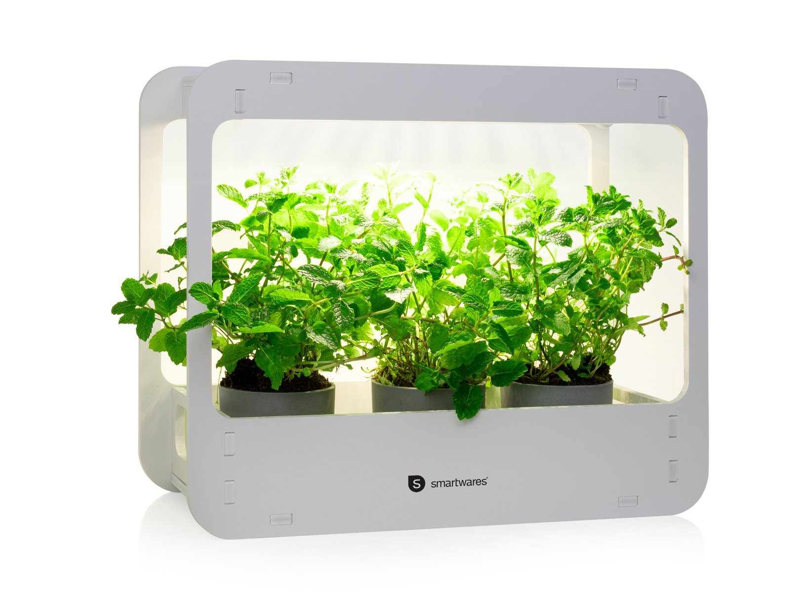 smartwares Pflanzenlampe, Tag / Nacht Timer (16 Stunden an & 8 Stunden  aus), LED fest integriert, Neutralweiß, LED Minigewächshaus mit  Pflanzenleuchte, Anzuchtlampe, Wachstumslampe