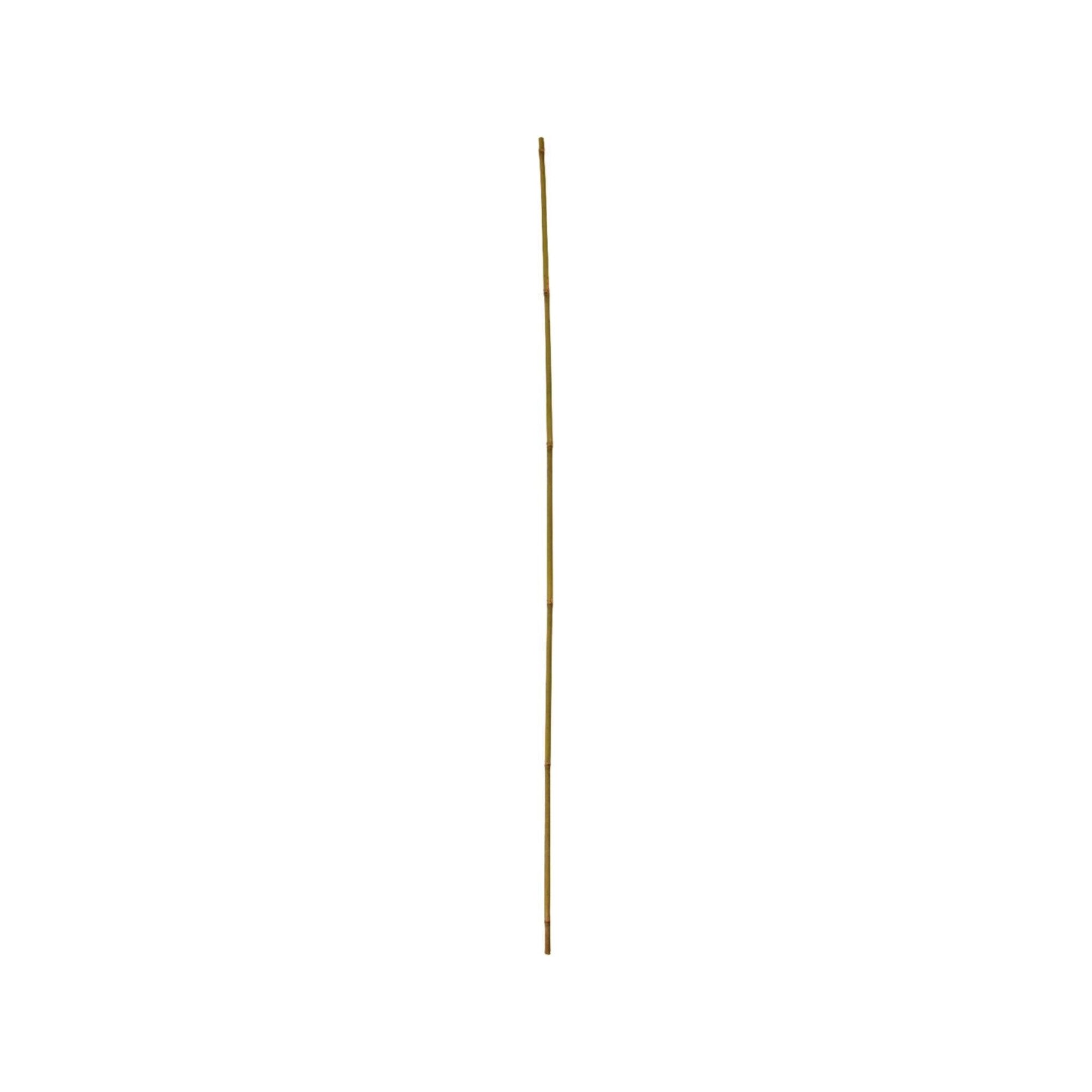 Floraworld Sappie floraworld Tonkin-Pflanzstab, Durchmesser 8-10mm 120cm 10er Bund, -]