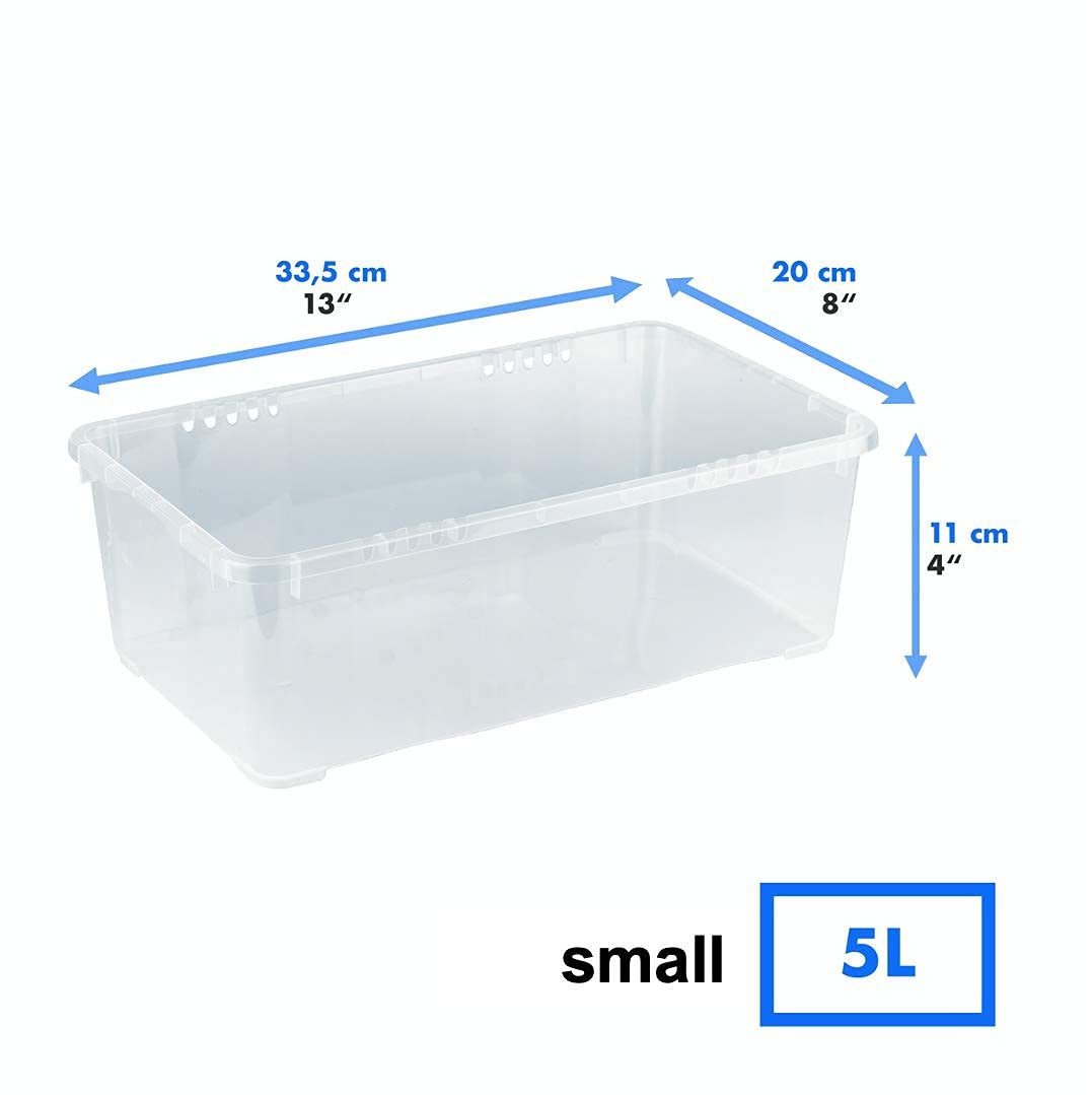Grizzly Aufbewahrungsbox Klarsichtboxen mit Deckel, 5x günstig online kaufen