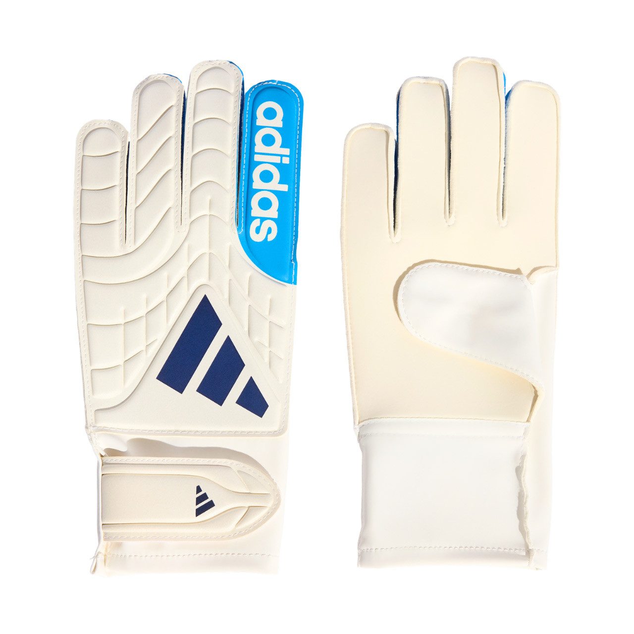 adidas Performance Torwarthandschuhe adidas Copa