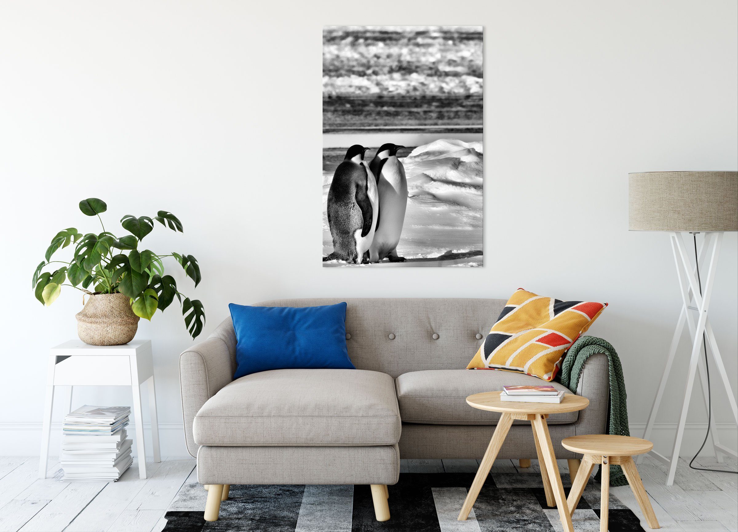 Leinwandbild fertig Leinwandbild St), bespannt, (1 Kaiserpinguine Kaiserpinguine, inkl. Zackenaufhänger Pixxprint