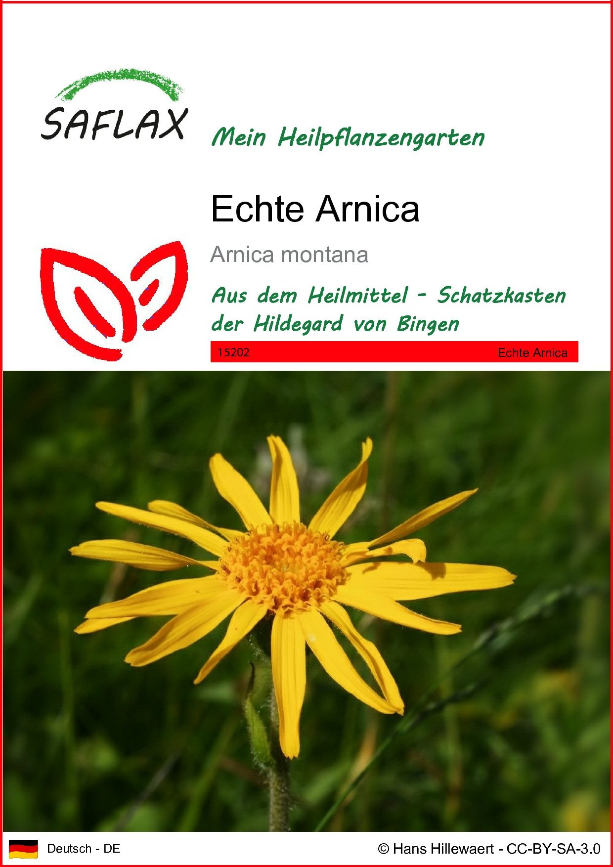 SAFLAX Blumensamen SAFLAX - Samen - Echte Arnica günstig online kaufen