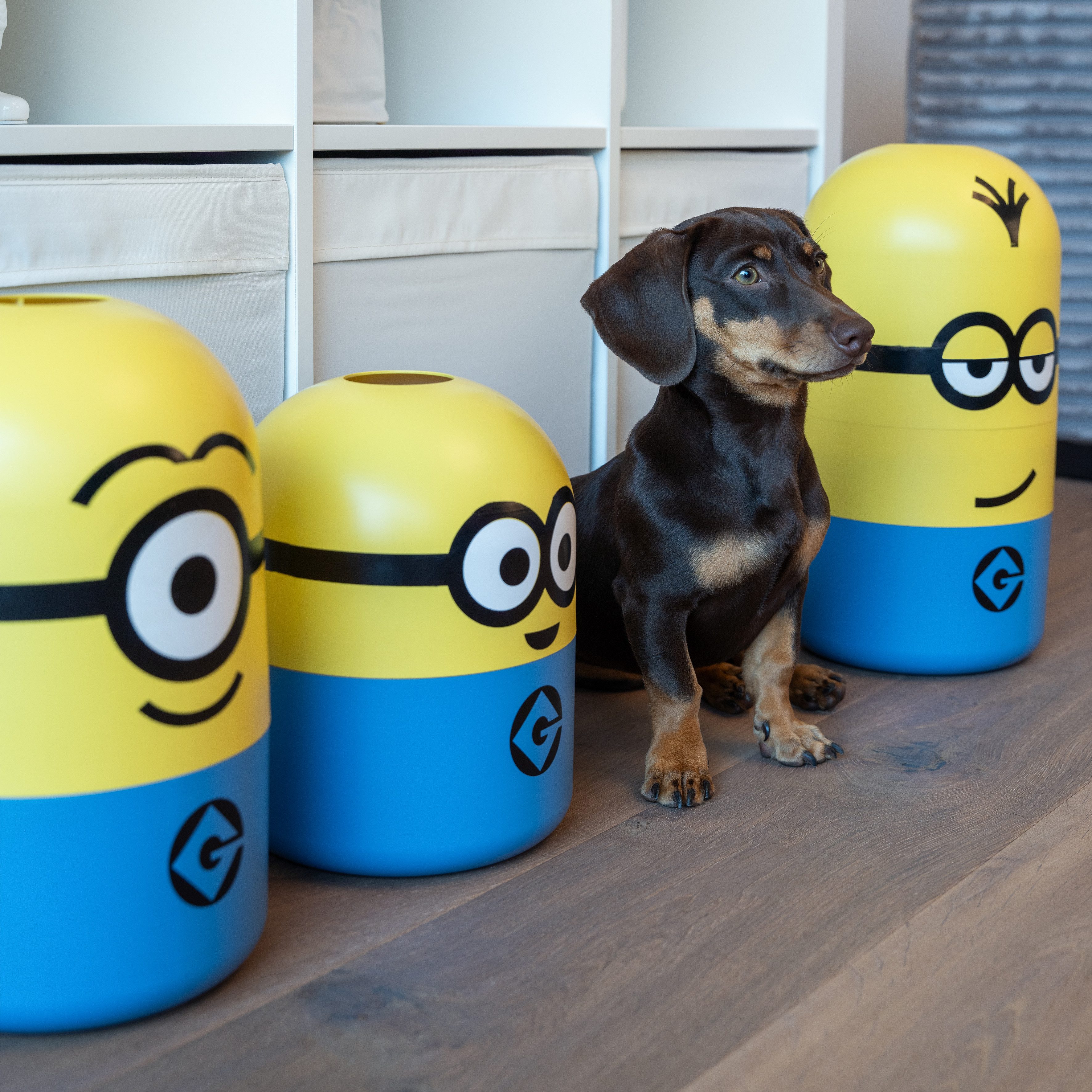 keeeper Aufbewahrungsbox "Kevin Minions" mit Eingriffloch, Ø 20 x 38 cm, 10 l, yellow – Bild 5 von 5