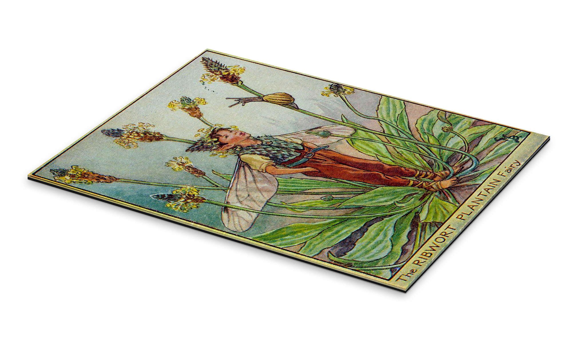 Posterlounge Wandbild Kleiner Elf im Sommer, Master Collection, erhältlich als Poster, Leinwandbild, Wandsticker oder Acrylglasbild