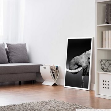 Sinus Art Poster Tierfotografie  Trinkender Elefant schwarz weiß 60x90cm Poster