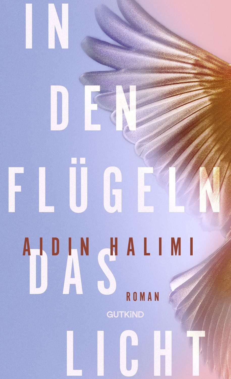 In den Flügeln das Licht / Aidin Halimi